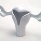 Illustration for article titled Science Of The Womb, The Organ Par Excellence